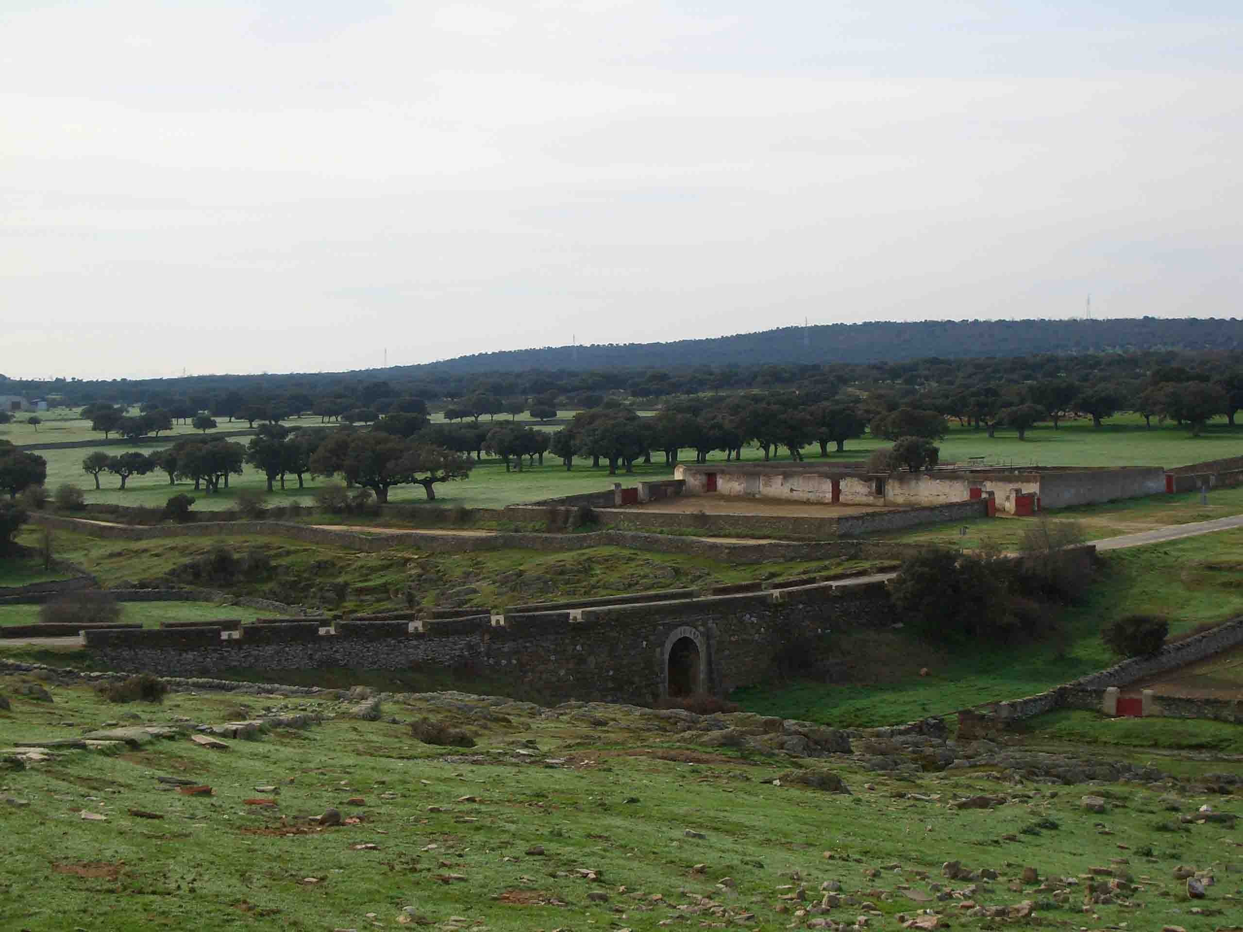 Plaza de tientas de la Finca Calzadilla de Mendigos